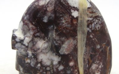 Common Zuni Fetish Carvings and their Meanings