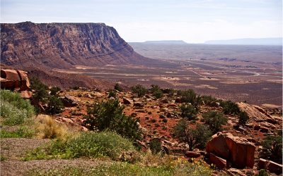 The Biggest Native American Tribes in the USA