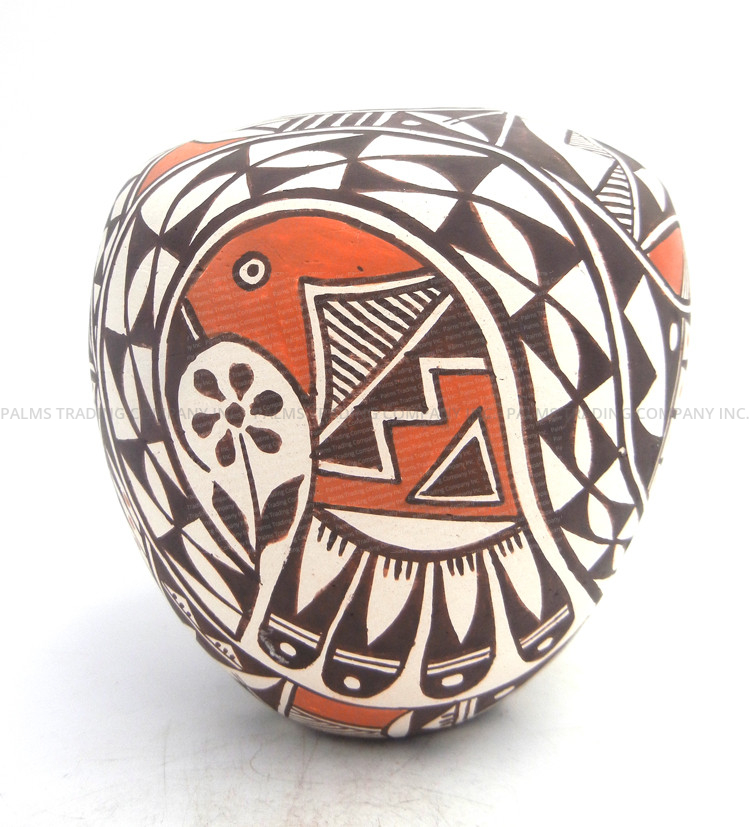Acoma handmade and hand painted parrot and multi-pattern jar by Regina Leno Shutiva