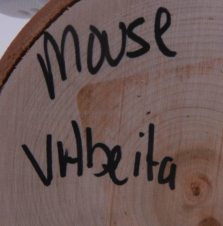 Navajo Victor Abeita Mouse Kachina Doll - Image 7