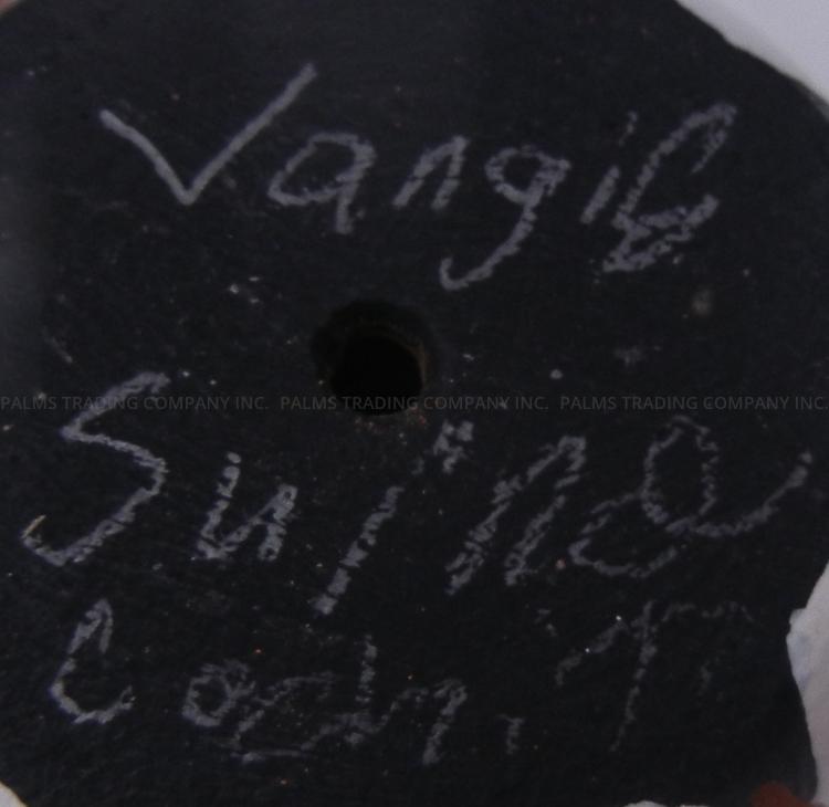 Cochiti Vangie Suina Small Handmade and Hand Painted Drum Figurine with Four Children - Image 7